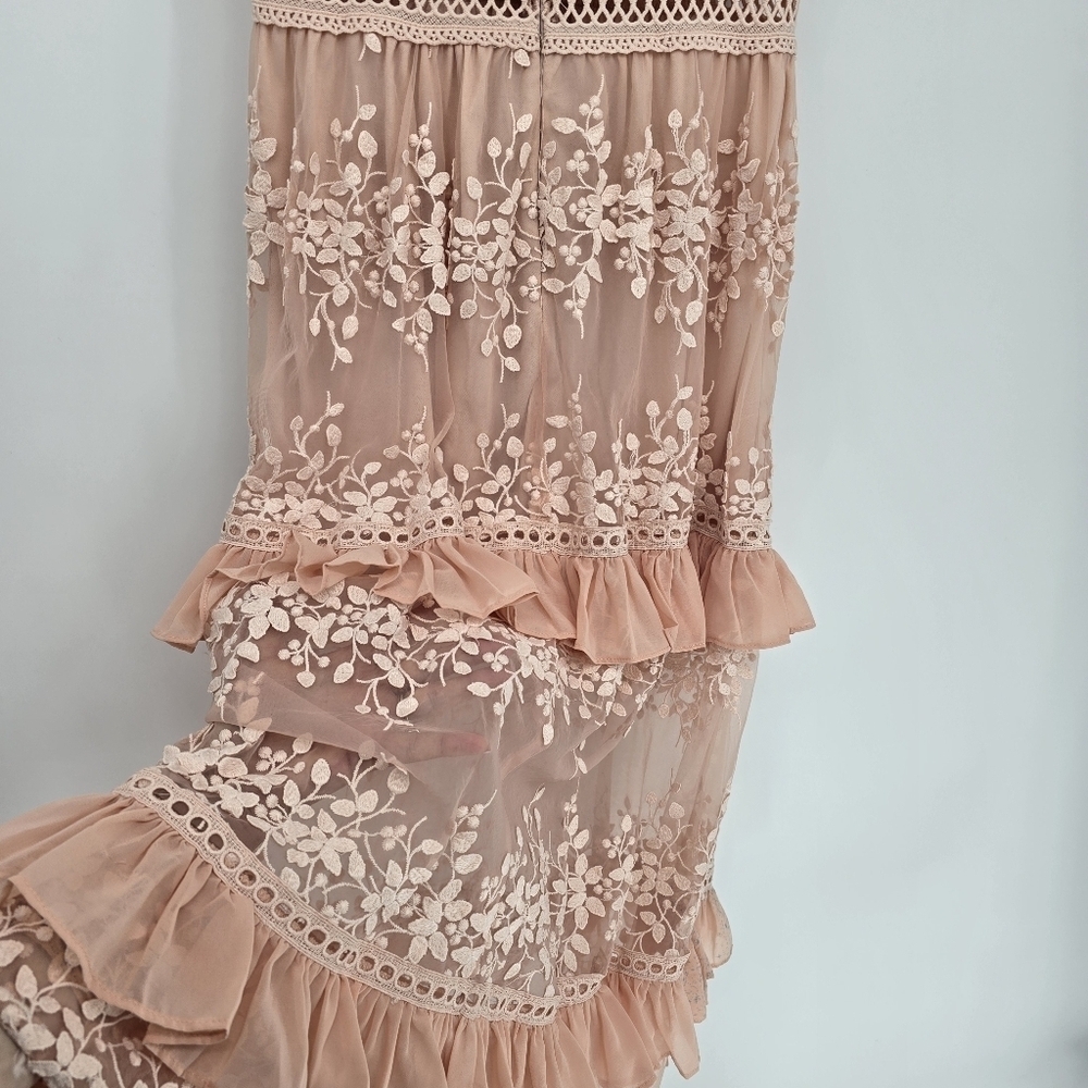 Aqua Womens Blush Embroidered Flounce Maxi Party Night Out Dress Medium - Picture 13 of 13